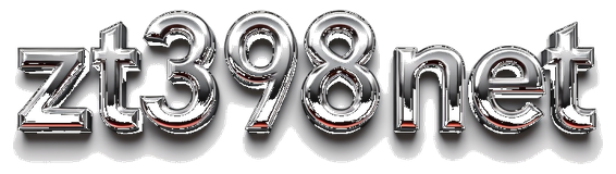 zt9398net logo